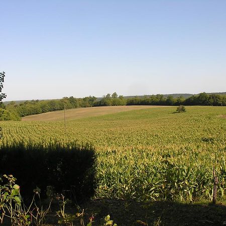 Saint-Avit-Rivière Chez Annie旅馆 外观 照片