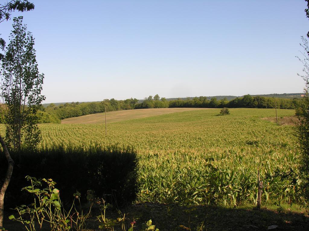 Saint-Avit-Rivière Chez Annie旅馆 外观 照片